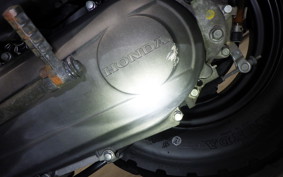 HONDA ZOOMER AF58