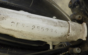 YAMAHA PASSOL 2E9