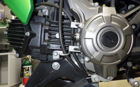 KAWASAKI Z125 PRO 2024 BR125H