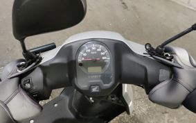 HONDA  TACT  BASIC  AF79