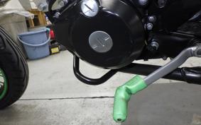 KAWASAKI KLX250D TRACKER X 2017 LX250V