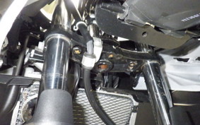 SUZUKI GSX250 R
