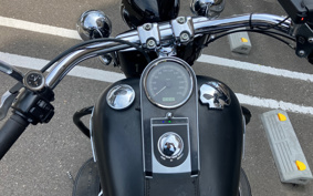 HARLEY  HARLEY FLSTFB 2010 JN5