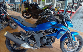 KAWASAKI Z250 SL BR250E