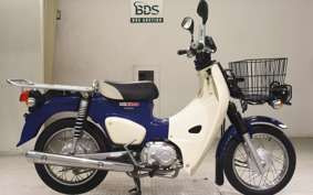 HONDA C110 SUPER CUB 2005 JA42
