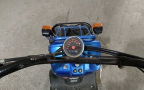HONDA ZUMAR AF58