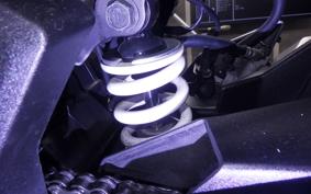 KAWASAKI NINJA 250 SL BX250A