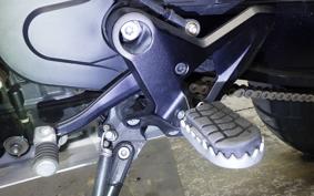 HUSQVARNA NORDEN901 2022