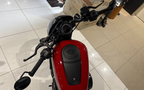 HARLEY RH975 NIGHT STAR 2023 ZH1