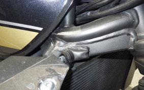 KAWASAKI ZRX1200 D 2017 ZRT20D