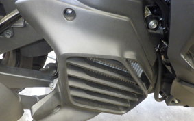 YAMAHA X FORCE SG79J