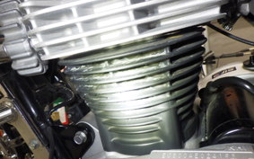 KAWASAKI W800 2020 EJ800B