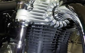 KAWASAKI W800 2025 EJ800E