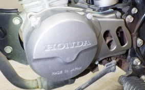 HONDA APE 50 AC16
