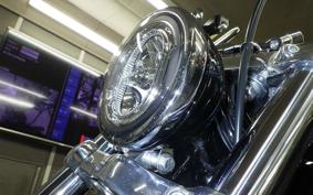 HARLEY FXST1750 2025