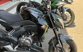 KAWASAKI Z125 PRO BR125H