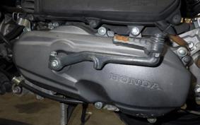 HONDA TACT Basket 2026 AF75