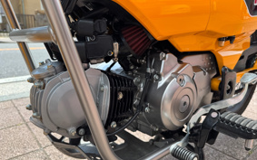 HONDA CT125 HUNTER CUB JA65
