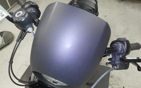 HARLEY XL883N 2017