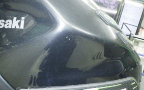 KAWASAKI NINJA 250 2022 EX250Y