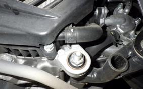 HONDA TACT Basket 2024 AF79