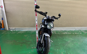 TRIUMPH SPEED TWIN 2022 DAD85H