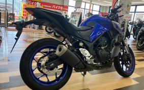YAMAHA MT-25 RG10