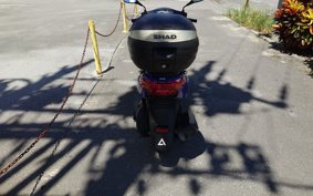 YAMAHA AKUSHI STREET SE53J