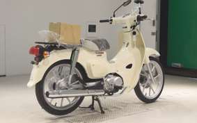 HONDA C110 SUPER CUB 2013 JA59