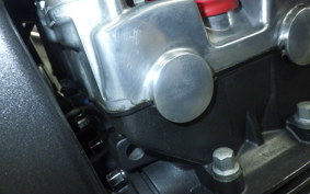 HONDA HORNET 250 2011 MC31