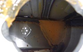 HARLEY FXSTC 1340 1992