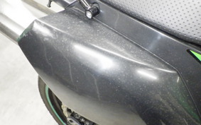 KAWASAKI KLX250D TRACKER X 2025 LX250V