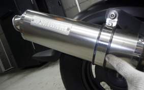 HONDA ZOOMER 2006 AF58