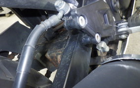 KAWASAKI NINJA 250R 2007 EX250K