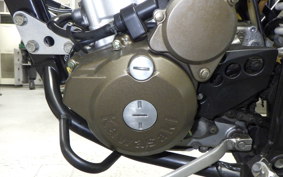 KAWASAKI KLX250 2024 LX250E