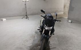 KAWASAKI Z1000 2009 ZRT00B