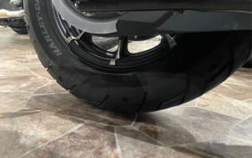 HARLEY XL883N 2016 LE2