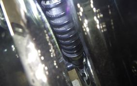 HARLEY FLHXS 1750 2017