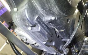 OTHER +UNREGISTERED MODEL by BDS250 1992