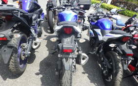 SUZUKI GSX250 R