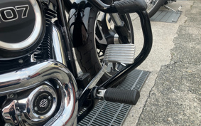 HARLEY FLSB 2019 YMJ