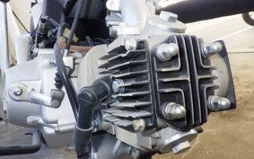 SACHS MADASS 50 2006