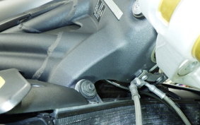 TRIUMPH SPEED TRIPLE RS 2021