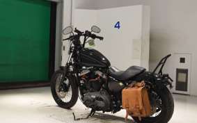 OTHER +HD. XL1200N 2021
