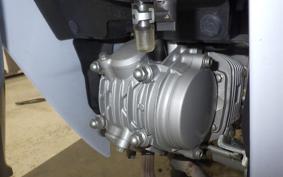 HONDA C125 SUPER CUB 2021 JA48