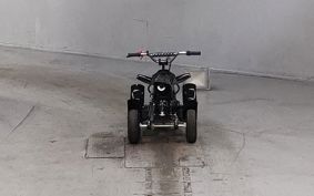 OTHER  BUGGY 50CC ..