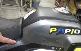 OTHER +CF PAPIO XO-2 2019