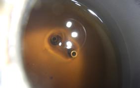 HONDA LITTLE CUB AA01