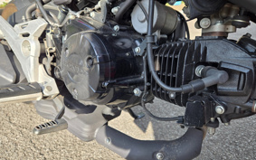 HONDA GROM JC61