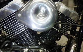 OTHER UNREGISTERED MODEL by BDS250 2024